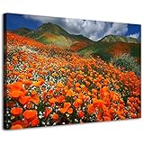 Orange Poppy Canvas Wall Art Nature Forest Mountain Landscape Pictures Wall Decor for Living Room Bedroom Still Life Poppies Scenery Painting Prints Photo Wildflower Artwork Home Decorations 12x16”