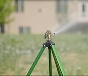 Review Image by Crystal M. Crystal M.