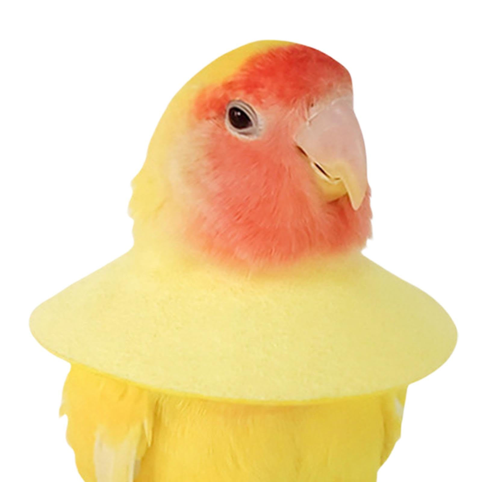 Soft Bird Collars,Anti Bite Parrot Elizabethan Collar | Soft Comfortable Elizabethan Collar, Protective Cone Collar for Prevent Plucking