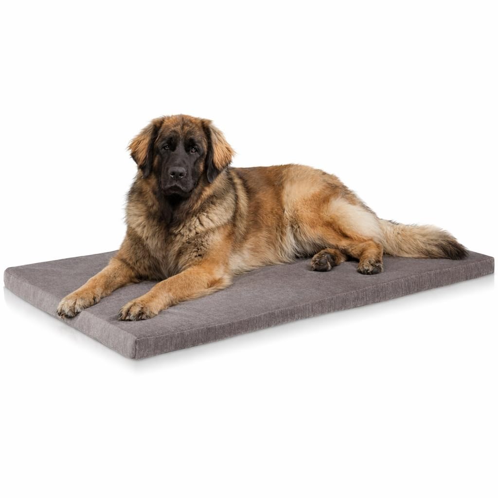 ONVAYA® Cuscino per Cani in Memory Foam | Ortopedico | Lavabile a 95 Gradi | Grigio | Misura XXL | Letto per Cani | Materasso per Cani | Tappeto per Cani | Lettino