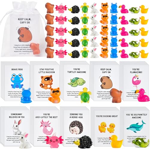 PAPPYN-A 60 Set Employee Appreciation Gifts Bulk for Coworkers Team Staff Thank You Gifts Organza...