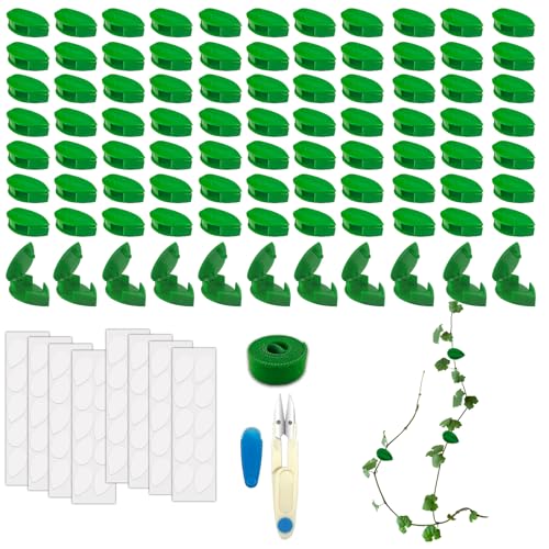YFLeomry 80 Stück Pflanzenclips Wand,Grüne Ranken Pflanzenhalter Wand, Selbstklebende Pflanzen Clips Wand, Pflanzenclips für Kletterpflanzen für Gartenarbeit, Pflanzenstützung, Zur Wandbefestigung