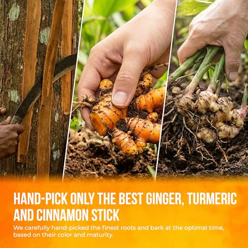 Image of FreshDrinkUS, Premium Turmeric Ginger Cinnamon Tea Bags | 75 Tea Bags | Herbal Spice Tea Blend, Naturally Caffeine Free, Warm & Aromatic Flavor, 100% Natural Ingredients, Convenient Tea Bags