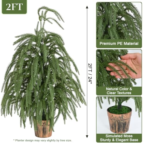 2FT Norfolk Pine Tree with Pot Small Tabletop Christmas Tree Decor - Image 4