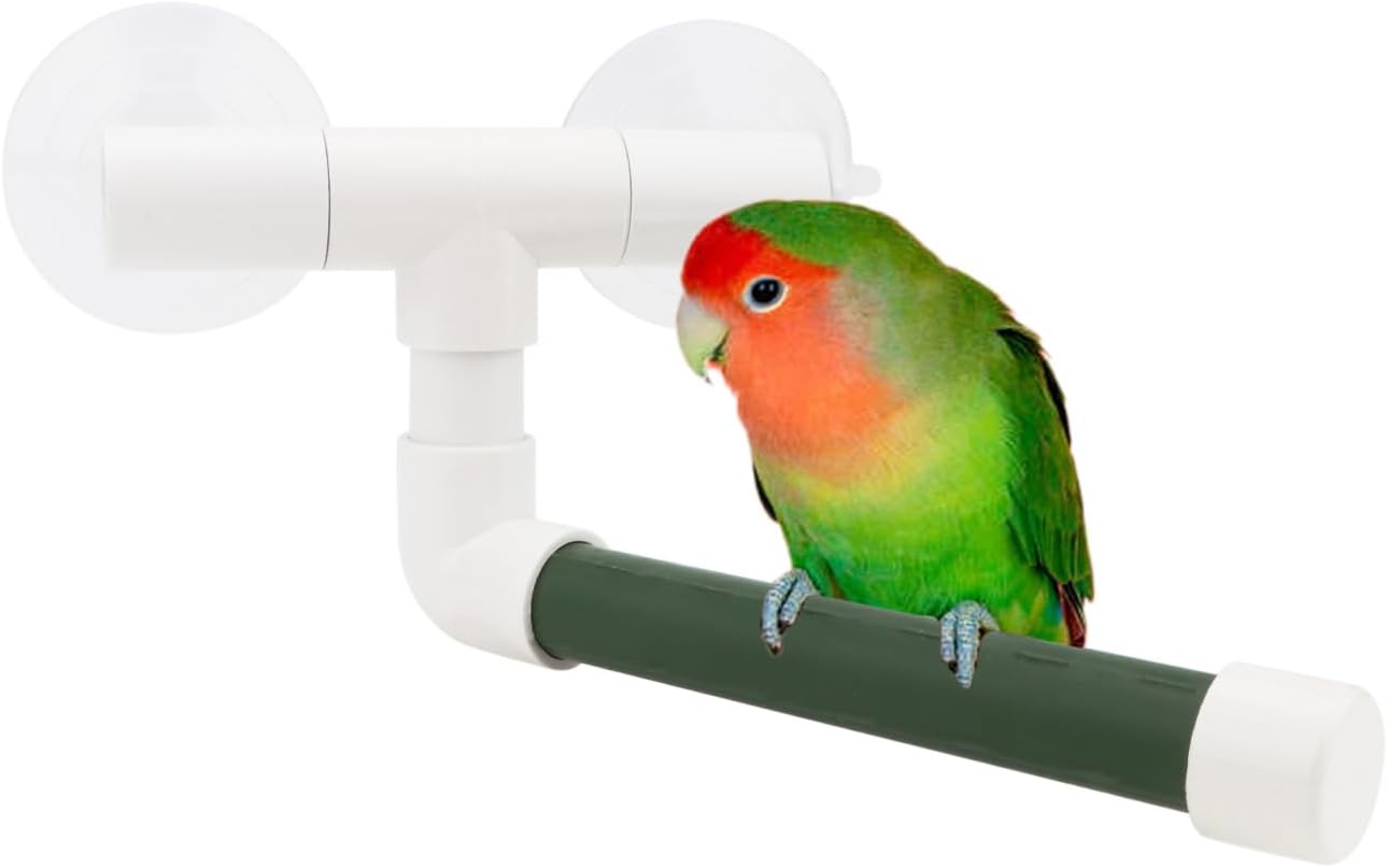 Hypeety Bird Parrot Stand Perch Shower Standing Toy