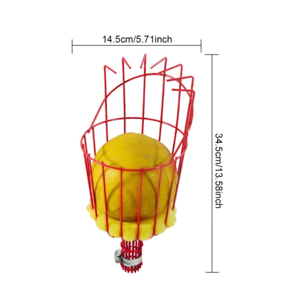 Cesto Raccoglifrutta Con Manico Telescopico, In Acciaio Inox, Portatile - Foto 9
