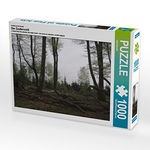 Preisvergleich Produktbild Ein Motiv aus dem Kalender Der Zauberwald 1000 Teile Puzzle quer