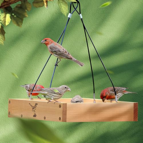 Better-Heavy-Duty-10-Cedar-Platform-Tray-Bird-Feeder-Hanging-Wild-Birdfeeder-Trays-for-Garden-Outdoors-Stainless-Steel-Cable-Mesh-Bottom-Lifetime-Weatherable