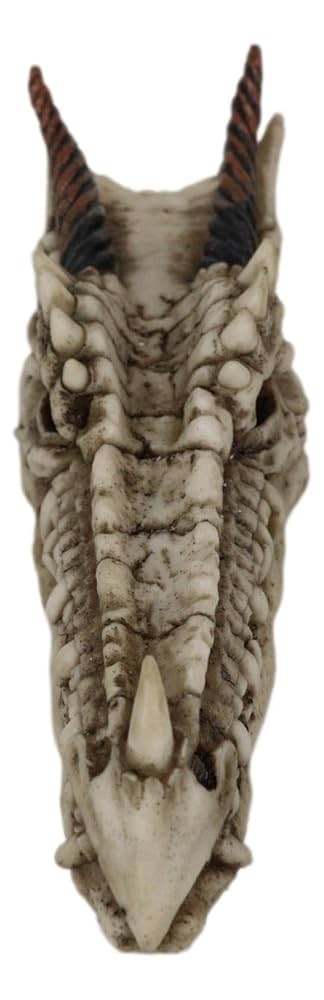 Amazon.co.jp: Ebros 中世ゴシックドロゴン 古代化石ドラゴン