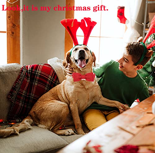 Image of DOGWONG Cotton Dog Collar with Bow Red Pet Collar Durable Adjustable for Small Medium Large Dogs