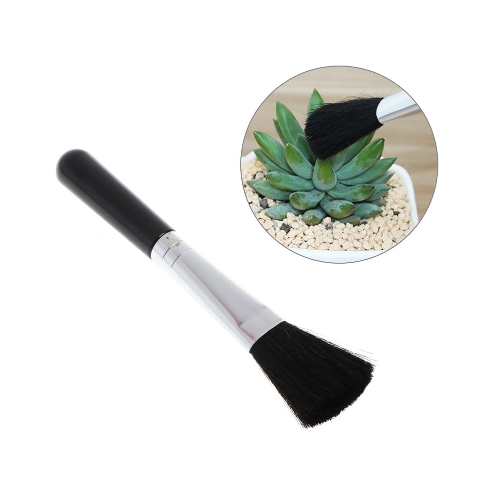 Dabixx Succulent Plants Cleaning Brush Gardening Tools Landscape Miniatures Brusher