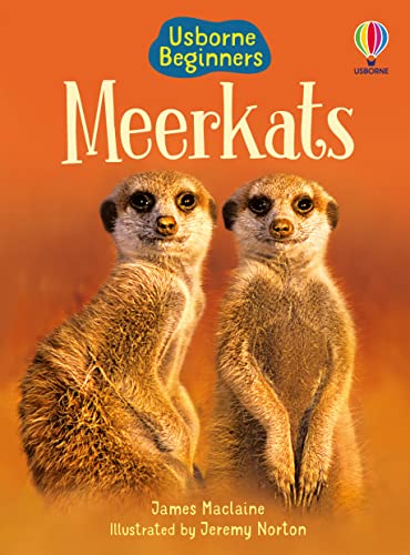 Meerkats (Beginners)
