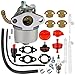 SIMPERAC 594014 Carburetor for Briggs and Stratton 594015 798918 590907 Snow Blower Carburetor for Craftsman 536.881851 8.5HP Engine 593358 Carburetor Replace for Briggs Stratton 594015