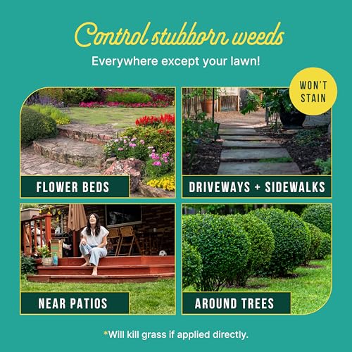 Sunday Weed Warrior, 32oz, 2 Pack - Grass & Weed Killer - Organic, Ready-to-Use Weed Killer Spray - Herbicide Spot Treatment - Kills Weeds, Grass, Algae and Moss