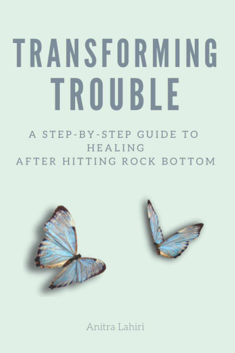 Transforming Trouble: A Step-by-Step Guide to Healing After Hitting Rock Bottom