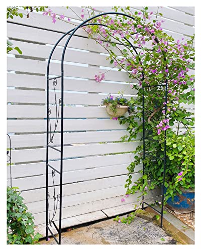 Arche de jardin en treillis solide pour redresser les plantes tombantes