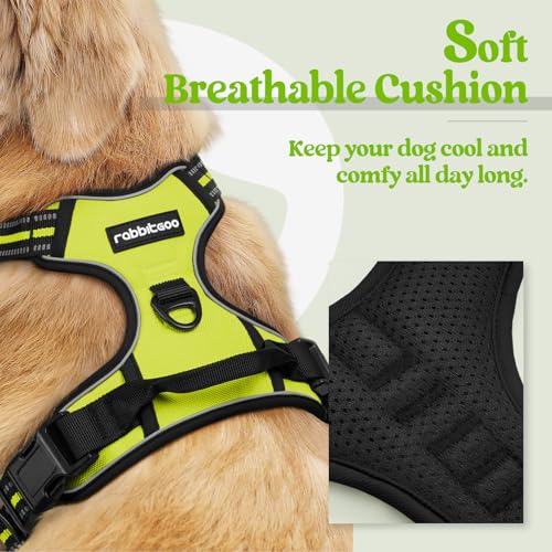 Image of rabbitgoo Dog Harness No Pull with 2 Leash Clips, Adjustable Soft Padded, Reflective Oxford No Choke Pet Vest with Easy Control Handle for Medium Sized Dogs, Green, M