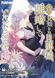 拝啓見知らぬ旦那様、離婚していただきます 限定 特典スリーブケース付き3巻セット Amazon.co.jp: 拝啓見知らぬ旦那様、離婚していただきますIII