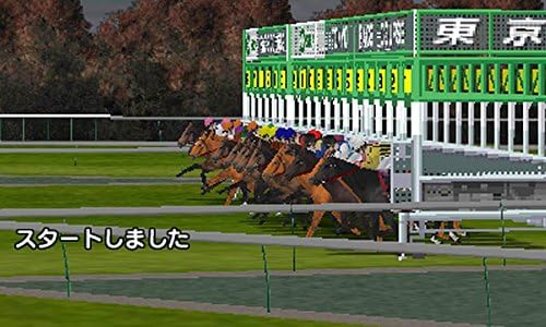 Derby Stallion GOLD (