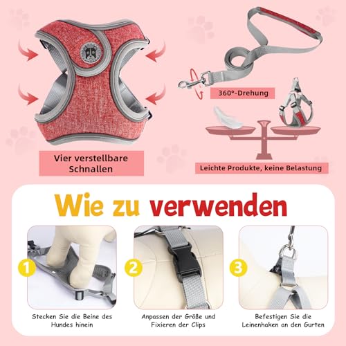 3 Stück Hundegeschirr und Leine Set, Verstellbares Brustgeschirr, Reflektierendes atmungsaktives Hundegeschirr mit D-Ring, Hundegeschirrs Set für Welpen, Kleine Hunde