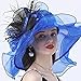 Fashion Hat for Women Large Wide Brim Kentucky Organza Derby Hats Ladies Tea Party Wedding Fascinator Vintage Fedoras