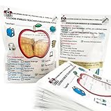 40pcs Teacher Appreciation Cookie Bags – 4×6″ Resealable Stand-Up Treat Pouches for Teachers, Food Safe Cellophane Gift Bags for Teacher Gifts, Thank You, End of Year, Teacher Week