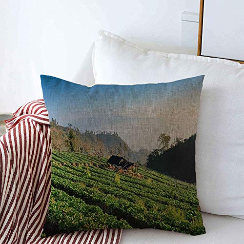 AnmbskDecorative Throw Pillow Covers Case ANG Mountain View Morning Hut Strawberry Plantation Green Nature Hill Parks Farm Mountains Outdoor Square Cushion Pillows Covers Sofa Bench Couch 20x20 Inch