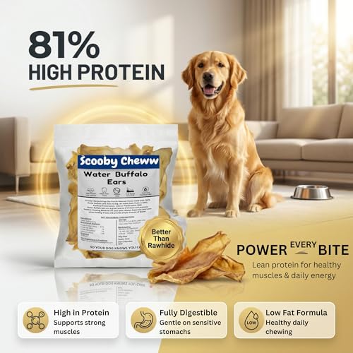 Image of Dog Treats, Rawhide Free, Dried Water Buffalo Ears, High Crude Protein Dog Food for Adult, Medium & Small Dog Sizes, Natural & Long-Lasting Dog Treat (5 Pieces)