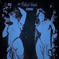 Magic Wands Ablum Cover