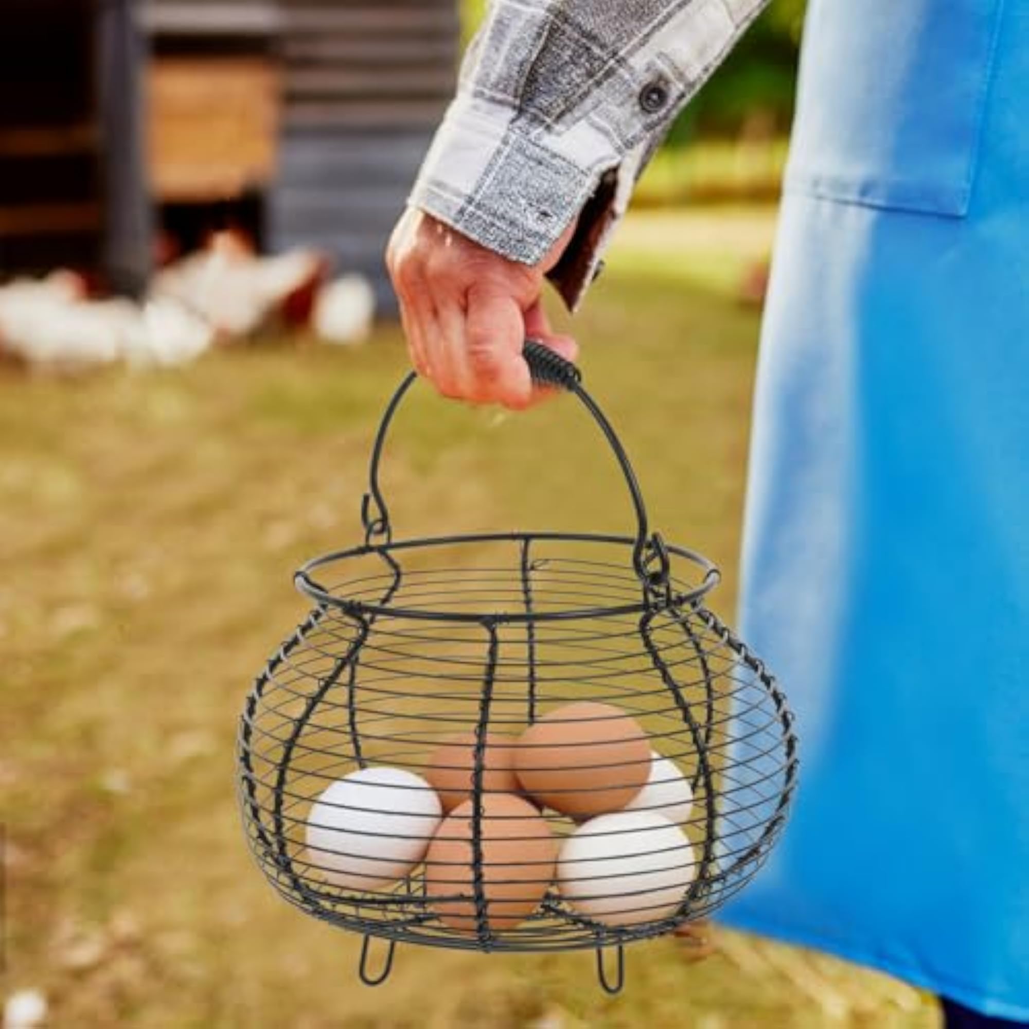 Black Iron Wire Egg Basket Kitchen Storage Rack with Handle, for Fresh Eggs