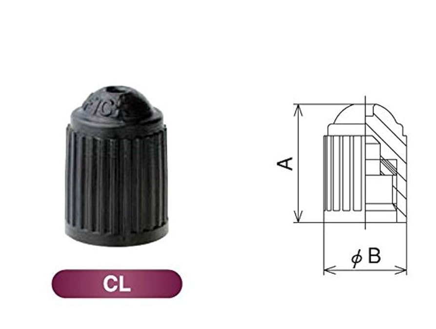 横浜フリューゲルス キャップ 2個セット 横浜フリューゲルス キャップ 2個セット 横浜フリューゲルス