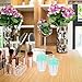 21 Pack Empty Lip Gloss Tube, Plastic Lip Balm Containers Refillable DIY Cosmetics Reusable Sample Bottles,Empty Ice Cream Cute Lipgloss Bottles/Containers Crystal Lip Gloss Supplies Kit, Clear