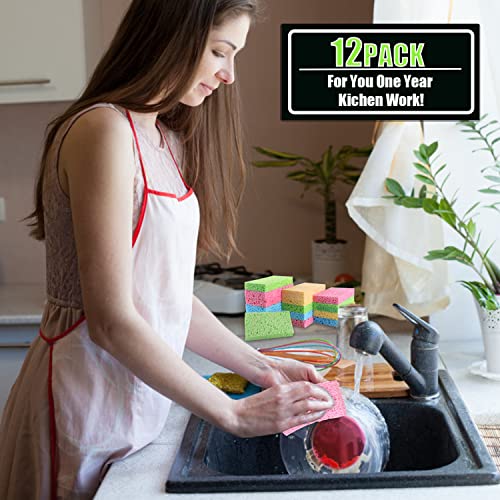 Image of Compressed Cellulose Kitchen Sponges 12Pack,Non-Scratch Biodegradable Natural Colorful Sponge Scrub for Dishes Cleaning,Funny DIY Sponge for Kids