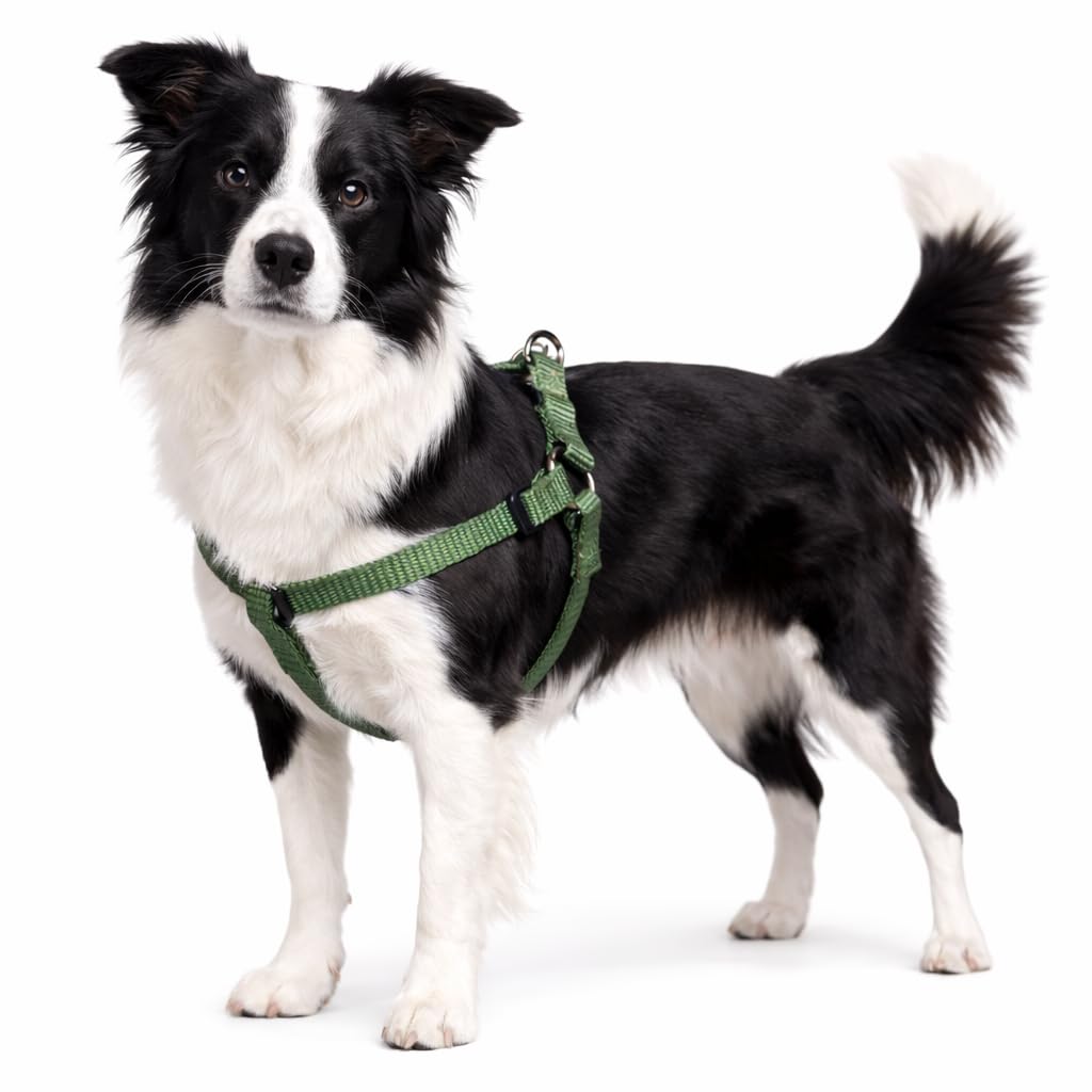 Dog Harness Step&Go Ziggi Khaki L 40-70cm 40-70cm 25mm