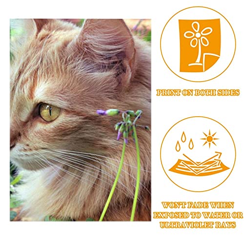 Drapeau de jardin chat mignon double face pour décoration extérieure de maison - 2