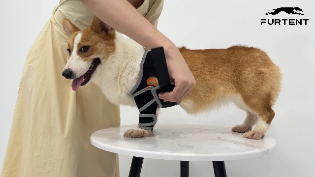 Dog Knee Brace for Torn ACL, Dog Leg Braces, Dog CCL Brace Front