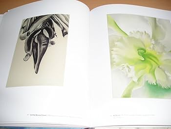 オキーフ、希少画集画、新品額装付 OKE-3-2 0497608095079_s.jpg