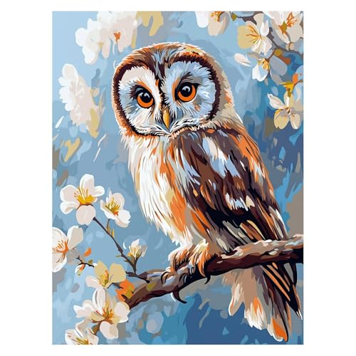G tNE Painting by Numbers  yCgoCio[ Lbg 60 x 80Cm G|Lbg ƃuVƃJt LoXG ʊG̋ Paint by Numbers Ƃ̕ǂ̑zf[MtgƂ