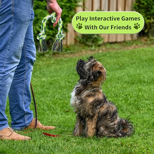 Mrltau 2 Pack 3 Knoten Hundespielzeug Seil, Mittel Und Klein Dog Toys, Hochbelastbar Hundespielzeug Unzerstörbar, 100% Baumwolle Hundespielzeug Seil, Zerrspiel Dog Toys