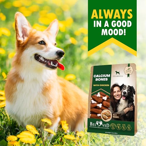 Image of Dog Treats Bones Wrapped Chicken & Rawhide Free Chew - Pet Healthy Dried Snacks & Grain Free Meat - Bulk Best Chews for Small & Large Dogs - Made for USA (24 oz (Pack of 1), Calcium Bones)