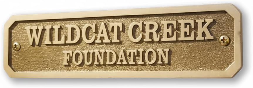 Custom Brass Door Plaque – Personalized Name Plate with Engraved Message | Rectangular Shiny Brass Wall Mount Sign | Custom Size Metal Door Plate for Home, Office & Room Decor(15x5 Cm)