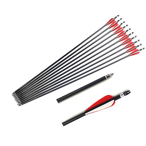 ACCMOS 12 Piezas Flecha de Caza de 80cm, Flecha de Fibra Vidrio Cabeza Ancha de Acero Reemplazable Espinazo 500 OD 8mm con Carcaj de Flecha Escalable para 30-80 lbs Arco Tiro al Arco (12pc Arrow)