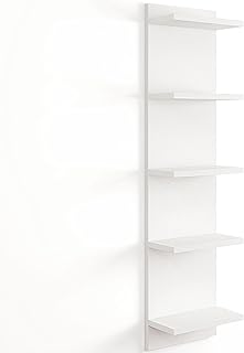 Fun Memories 5-Tier Wall Shelf Unit, 48