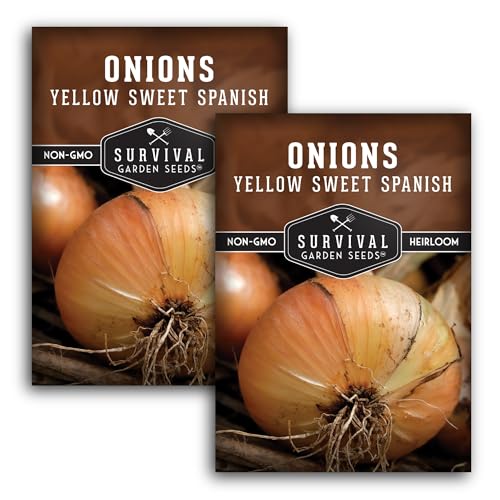 Survival Garden Seeds Yellow Spanish Sweet Onion Seeds 2 Packs