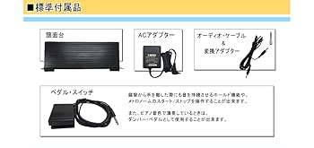 ジャスティ（ローランド） Thunder Road Guitars - New Jackson Limited Edition X Series