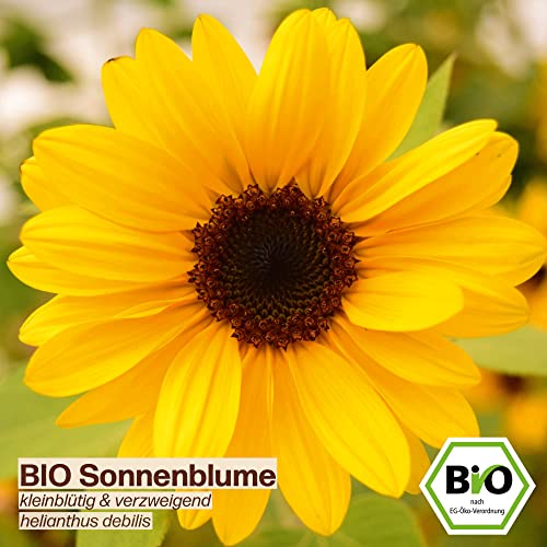 Samenliebe BIO essbare Blüten Samen Set mit 6 samenfesten Blumensamen Sorten für Garten Freiland und Balkon essbare Blüten BIO Blumen Saatgut - Image 8