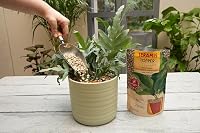 Seramis Pflanzgranulat Topper Limestone, 100% Bims, 1l – Ansicht 4