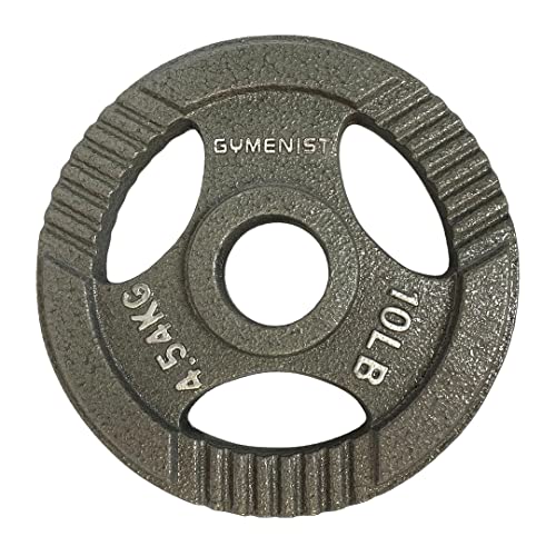 Top 20 Best Olympic Plates For Home Gym of 2023 (Reviews) Maine