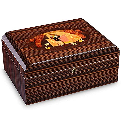 BSJZ Humidor, Estuche para...