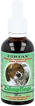 Fortan 93608 Liquid Dental Detergent, 50 ml
